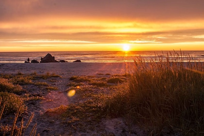 From Svolvær: Midnight Sun Photo Tour