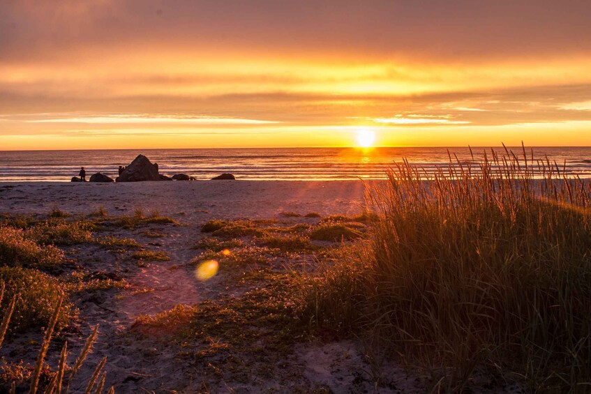 From Svolvær: Midnight Sun Photography Tour