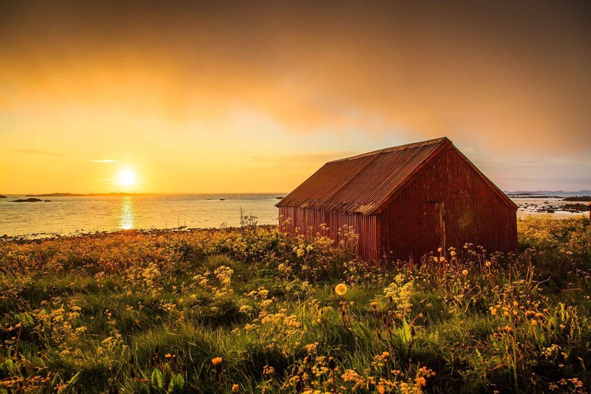 Picture 1 for Activity From Svolvær: Midnight Sun Photography Tour