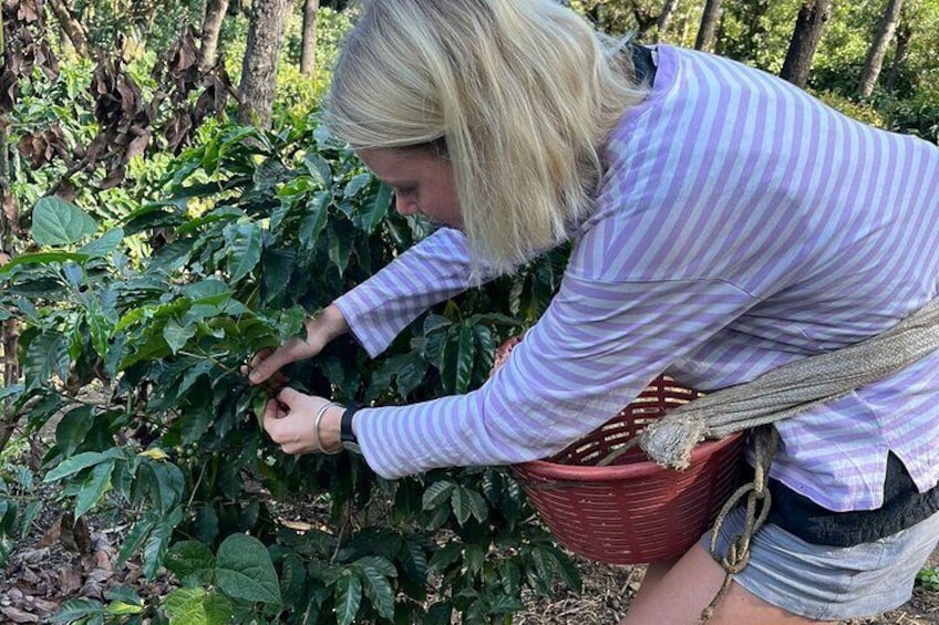 coffee cutting