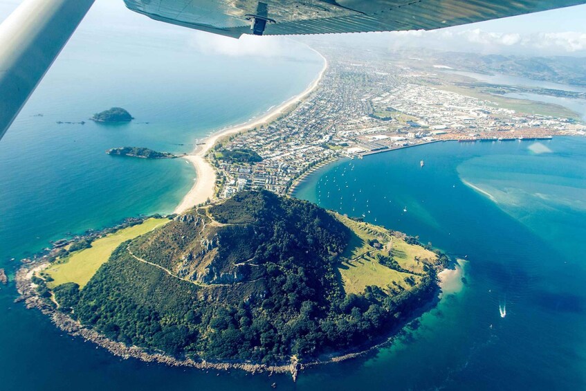 Picture 5 for Activity From Tauranga: Skydive over Mount Maunganui