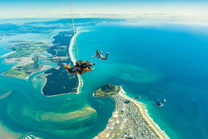 Depuis Tauranga : Saut en parachute au-dessus du Mont Maunganui