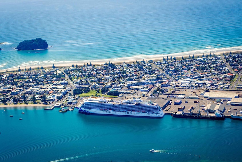 Picture 5 for Activity From Tauranga: Skydive over Mount Maunganui