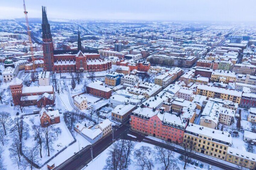 Private Tour Uppsala & Sigtuna from Stockholm