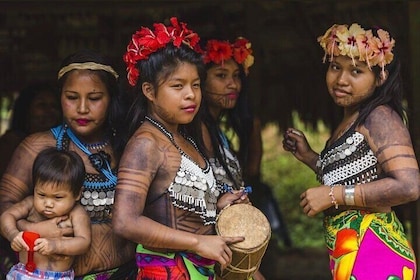 Visit the Indians and discover the rainforest