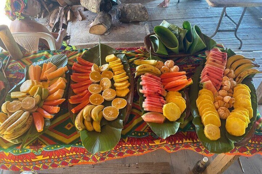 Half-Day Guided Tour in Panama