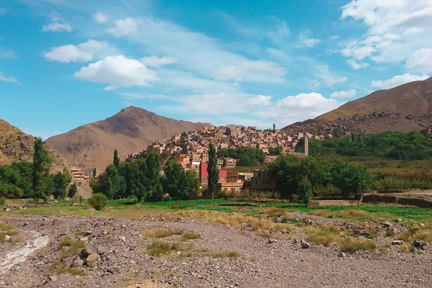 Picture 7 for Activity From Marrakech: Atlas Mountains Full-Day Hiking Trip