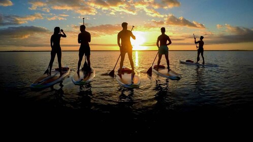 Bacalar : Tour de Stand Up Paddle au lever du soleil