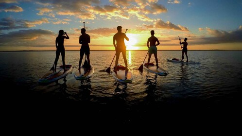 Bacalar: Sonnenaufgang Stand Up Paddle Tour