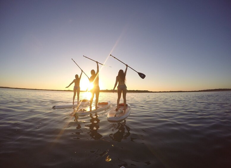 Picture 4 for Activity Bacalar: Sunrise Stand Up Paddle Tour