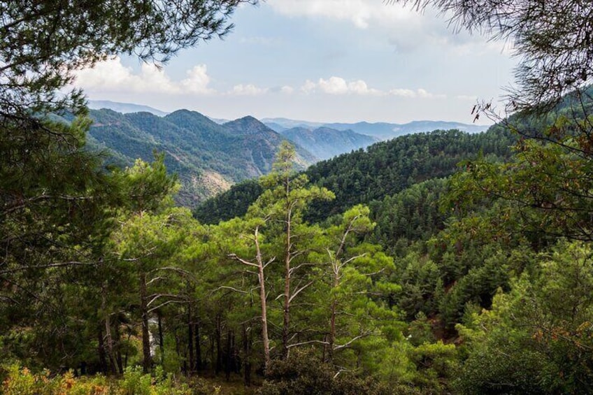 Full Day Private Tour Troodos Mountains from Limassol