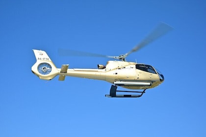 25 Minutes Dubai Private Helicopter Tour