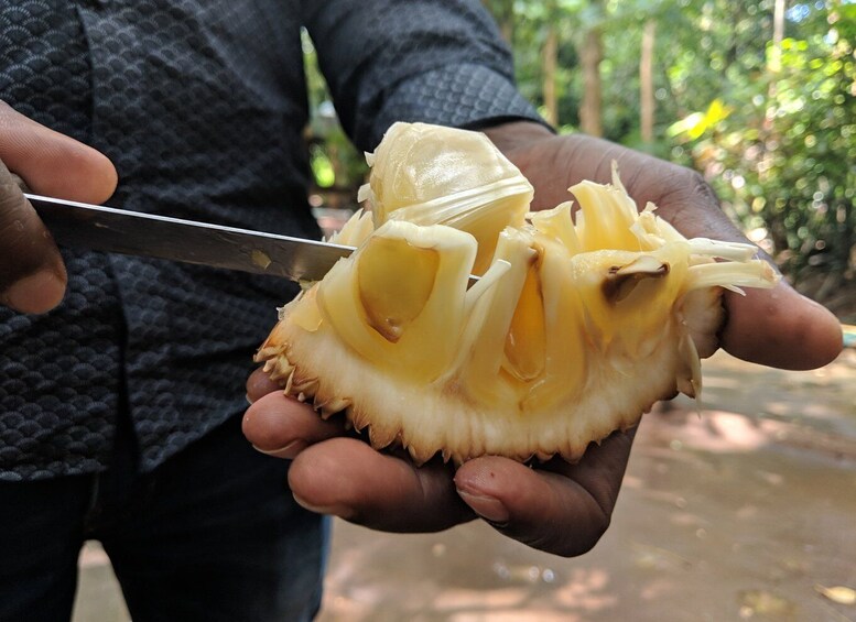 Picture 14 for Activity Zanzibar: Stone Town & Spice Farm Tour with Lunch