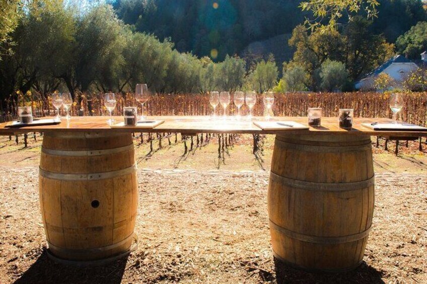 Wine Tasting