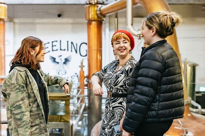 Dublín: visita y degustación a la destilería de whisky Teeling
