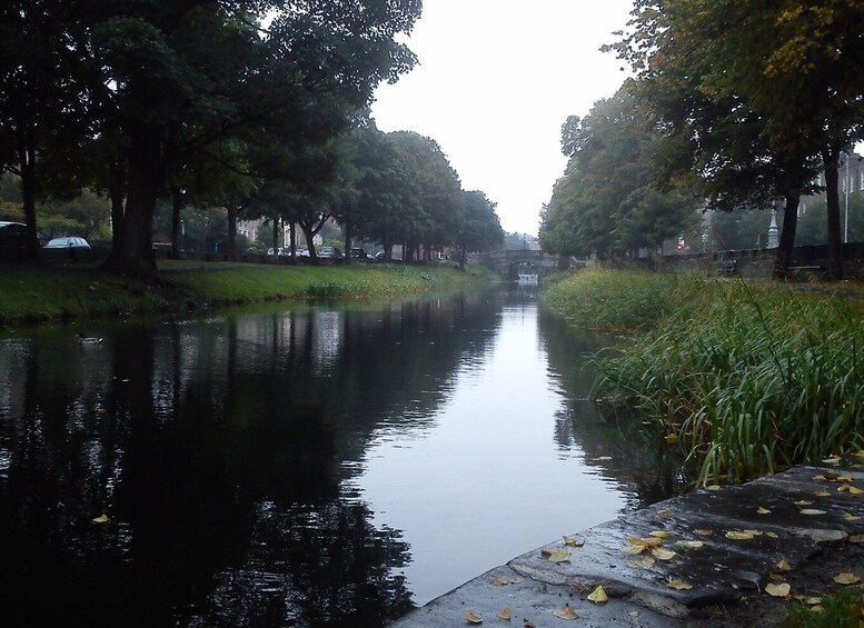 Picture 5 for Activity Dublin: Grand Canal Cruise with Dinner