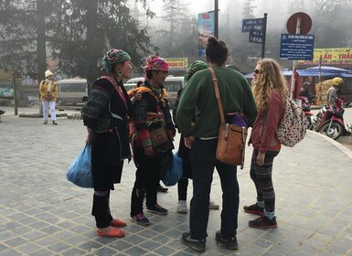 Depuis Hanoi : 3 jours de trekking à Sapa avec transfert en limousine