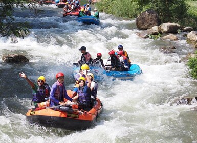 Phuket: Cueva de los monos, rafting en agua, tirolesa con opción de cuatrim...