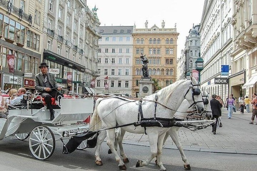 Hofburg Imperial Palace and Sisi Museum Skip the line tour