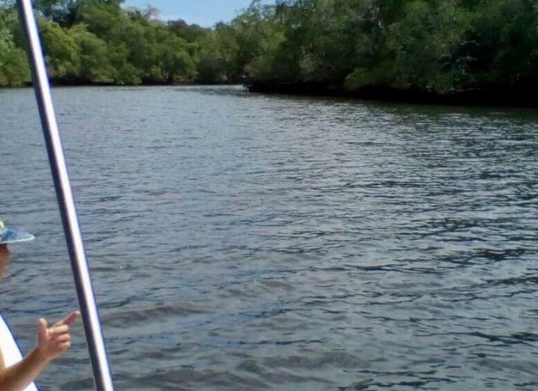 Picture 3 for Activity Tamarindo: Boat Safari at Las Baulas National Park