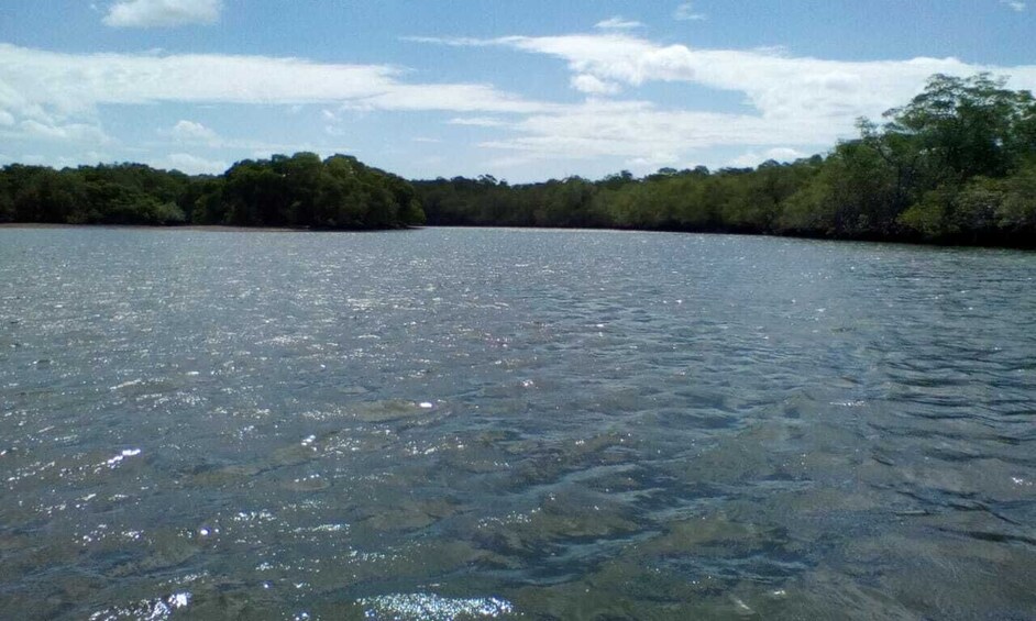 Tamarindo: Boat Safari at Las Baulas National Park