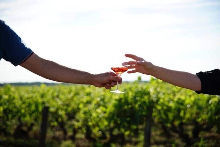 Discover local wines