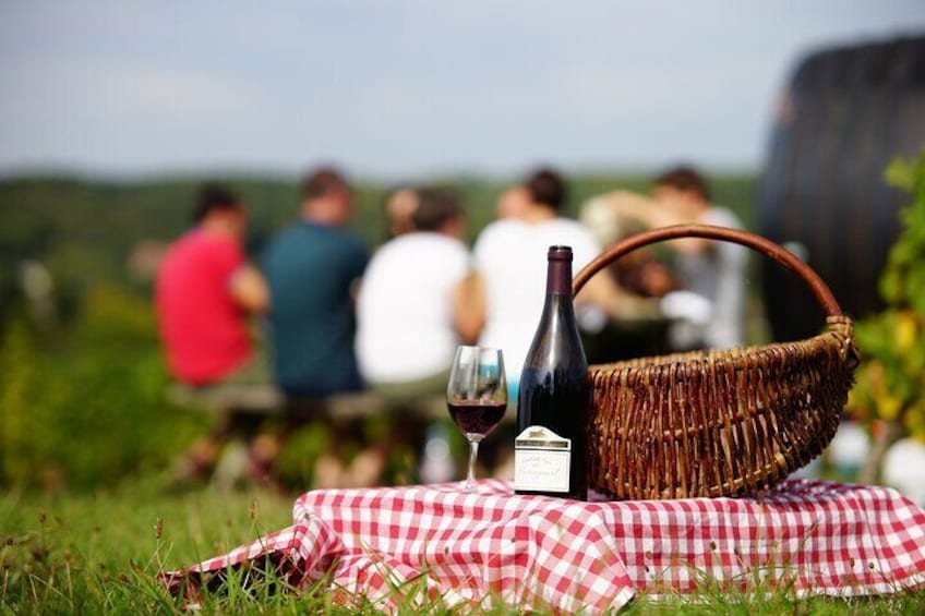 Lunch in the vineyard