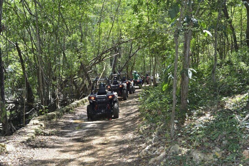 Private ATV, Horseback and Catamaran Cruise From Negril