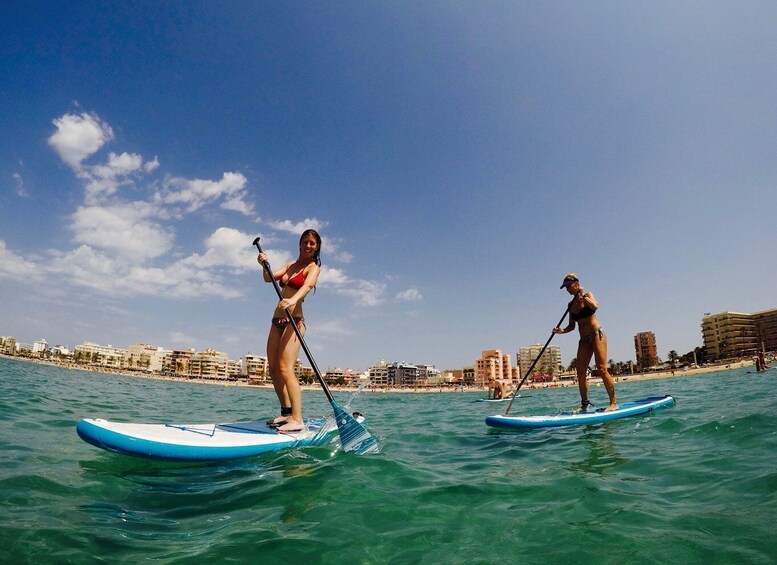 Picture 2 for Activity Mallorca: Stand Up Paddle Lesson