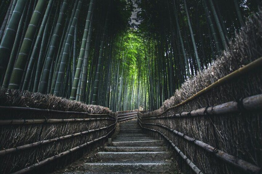 Bamboo trail