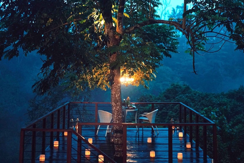 Picture 2 for Activity Ubud: Romantic Dinner on a Forest Tree Deck