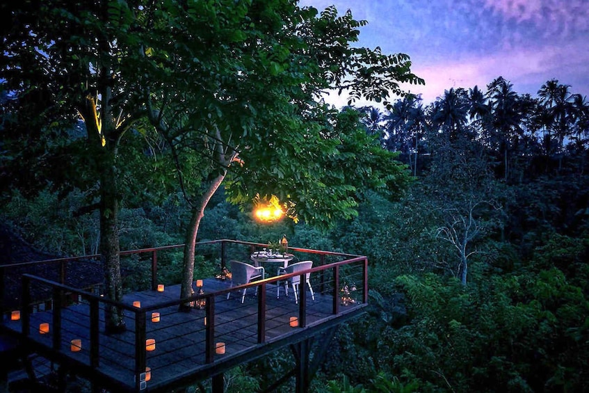 Picture 1 for Activity Ubud: Romantic Dinner on a Forest Tree Deck