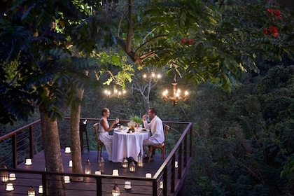 Ubud : Dîner romantique sur la terrasse d'un arbre de la forêt