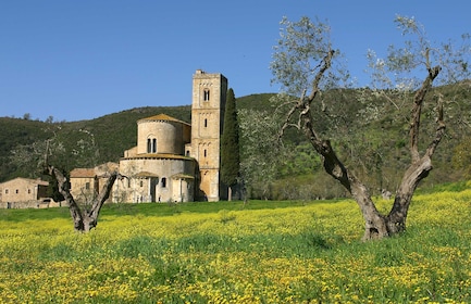 Land of Brunello: Pienza, Montalcino, Temple of Brunello, Sant'Antimo