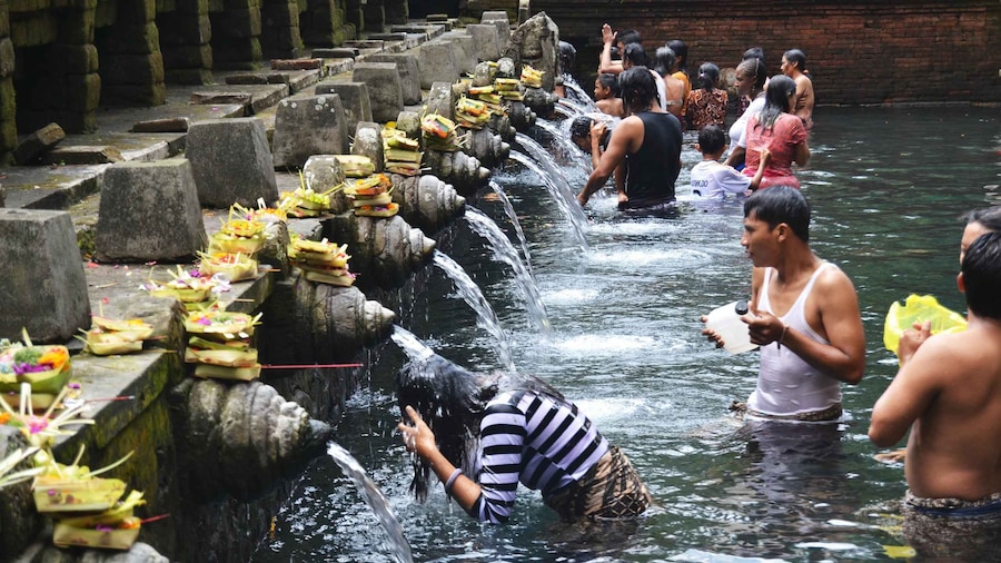 Best of Central Bali: Waterfall, Elephant Cave & Rice Fields