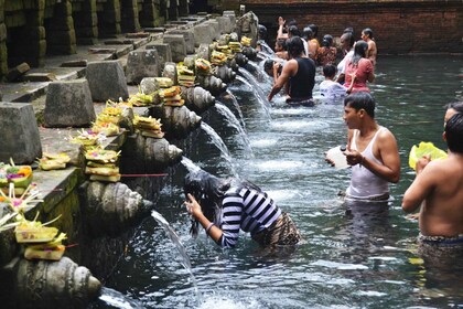 バリ島中部のベストスポット：滝、象の洞窟、水田