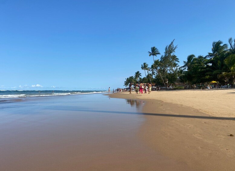 Picture 9 for Activity From Salvador: Morro de São Paulo Paradise Island Daytrip