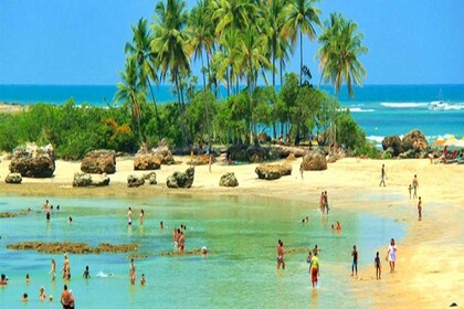 De Salvador: excursion d'une journée sur l'île paradisiaque de Morro de São...