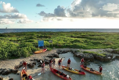 Discover Popoia Island and Kailua Bay by Kayak Guided Tour