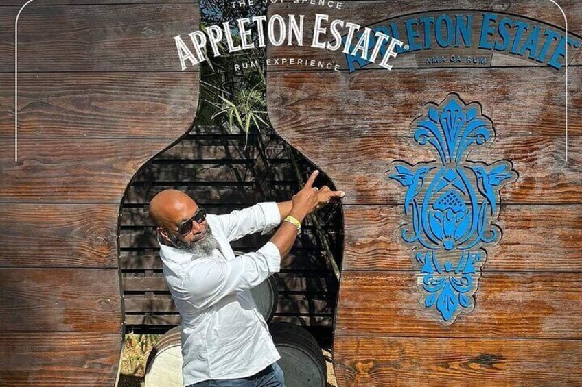 YS Falls and Appleton Rum Tour From Ocho Rios