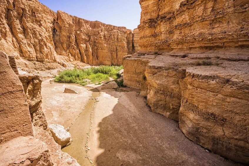 Picture 1 for Activity Tozeur: Tamerza, Chebika, and Mides Canyons Half-Day Trip