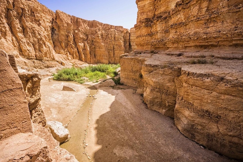 Picture 1 for Activity Tozeur: Tamerza, Chebika, and Mides Canyons Half-Day Trip