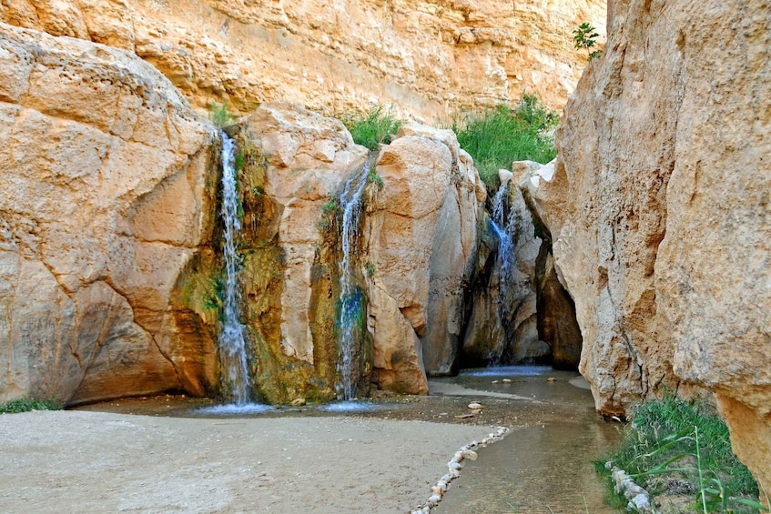 Picture 2 for Activity Tozeur: Tamerza, Chebika, and Mides Canyons Half-Day Trip