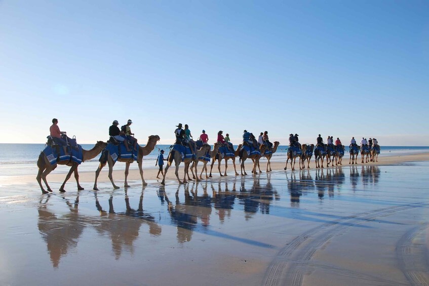 Picture 3 for Activity Djerba: Lagoon Camel Ride Experience