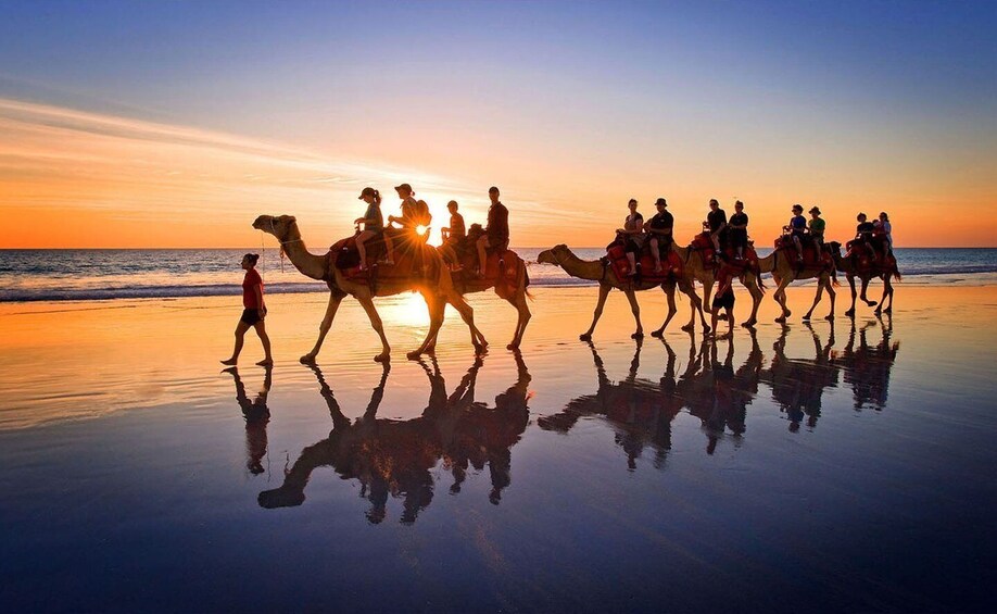 Picture 2 for Activity Djerba: Lagoon Camel Ride Experience