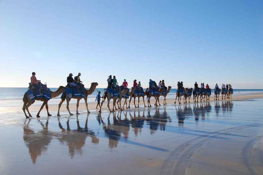 Picture 1 for Activity Djerba: Lagoon Camel Ride Experience