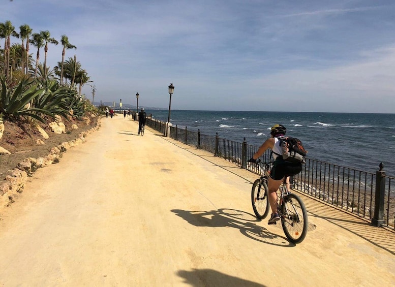 Picture 3 for Activity From Marbella: Guided Bicycle Tour to Puerto Banús