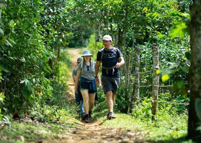 Cali: Hiking to the Pance waterfalls