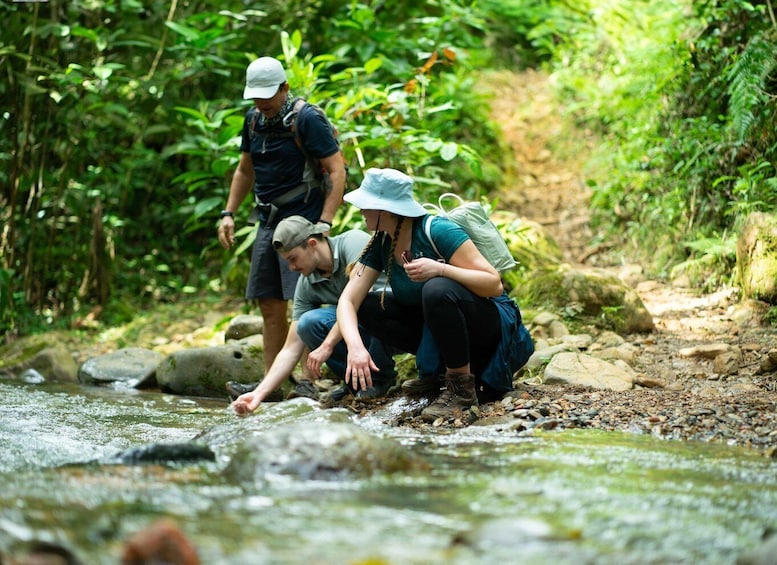 Picture 1 for Activity Cali: Hiking to the Pance waterfalls