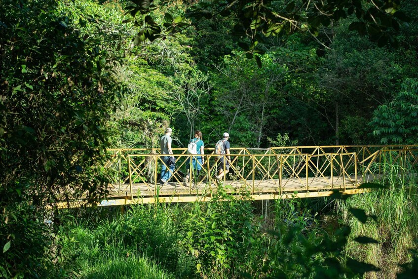 Picture 6 for Activity Cali: Hiking to the Pance waterfalls